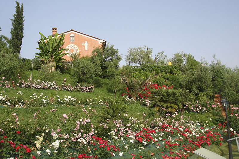 Villa La Volpe